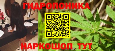 стафф Кулебаки