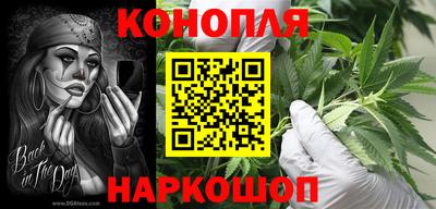 гашик Кунгур