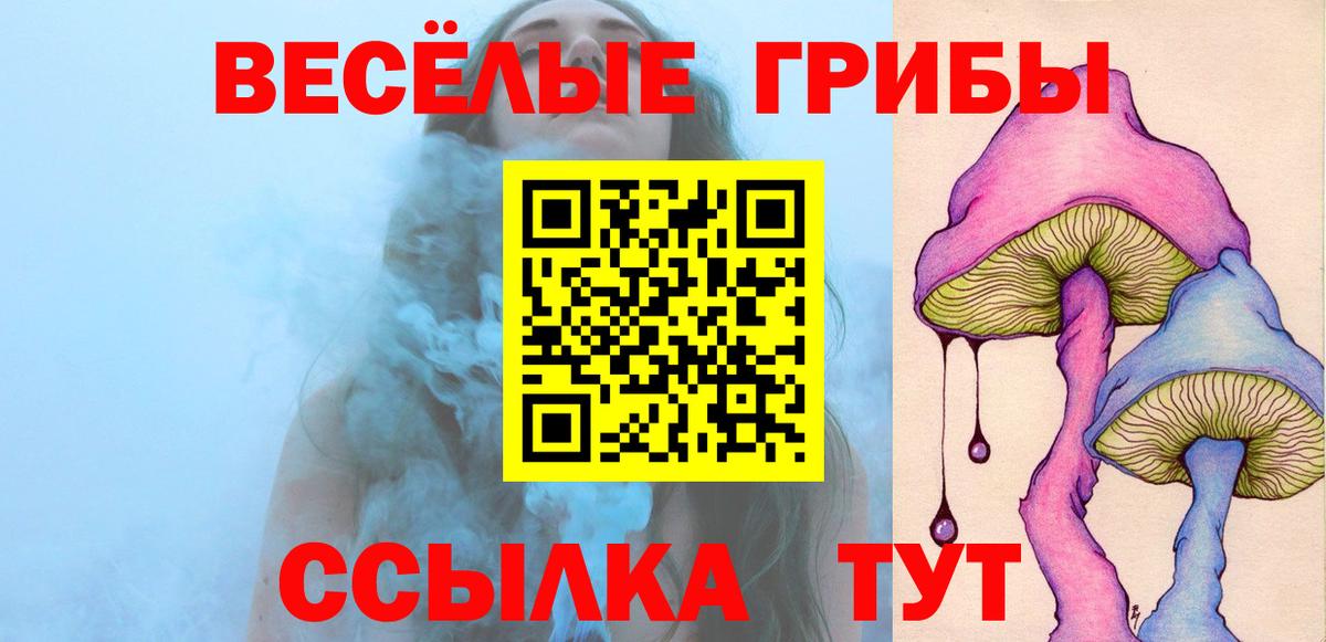 Псилоцибиновые грибы мицелий Киров